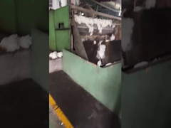 Προσαρμοσμένη Poly Staple Fiber Ανανεώσιμη 100% Polyester Fiber Μέση Φύλη Crimp